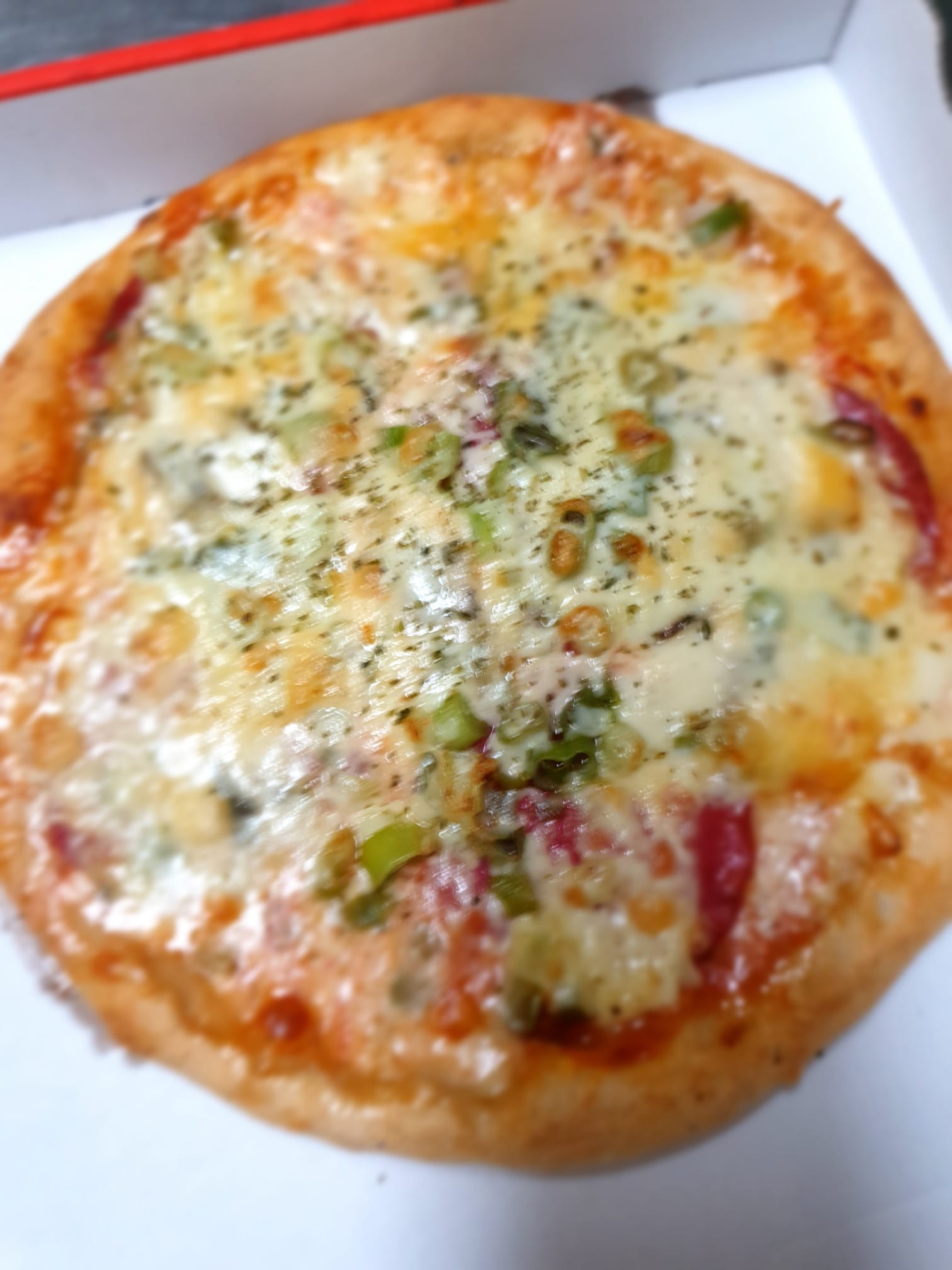 Vorspeisen Homburger Hof